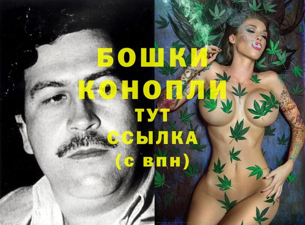 шишки Абдулино