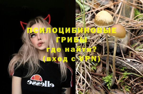 шишки Абдулино