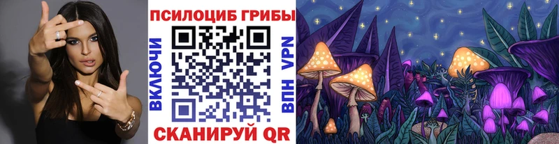 Галлюциногенные грибы мухоморы Брянск