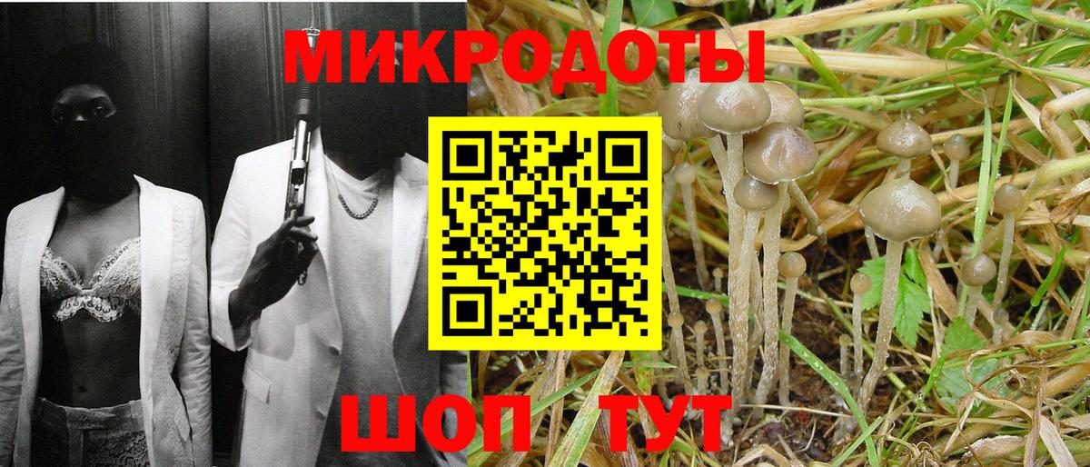 Псилоцибиновые грибы мухоморы  Вход с VPN  Брянск  Псилоцибиновые грибы мицелий 
